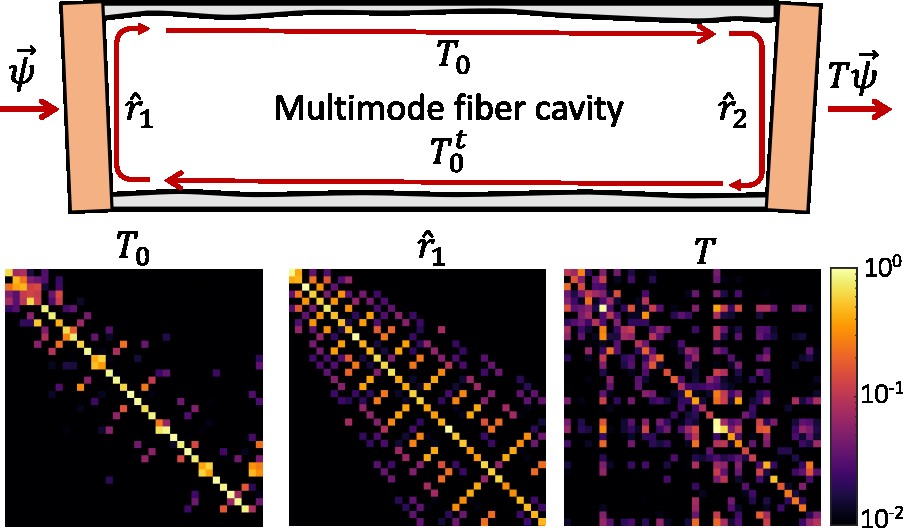 New publication in PRL